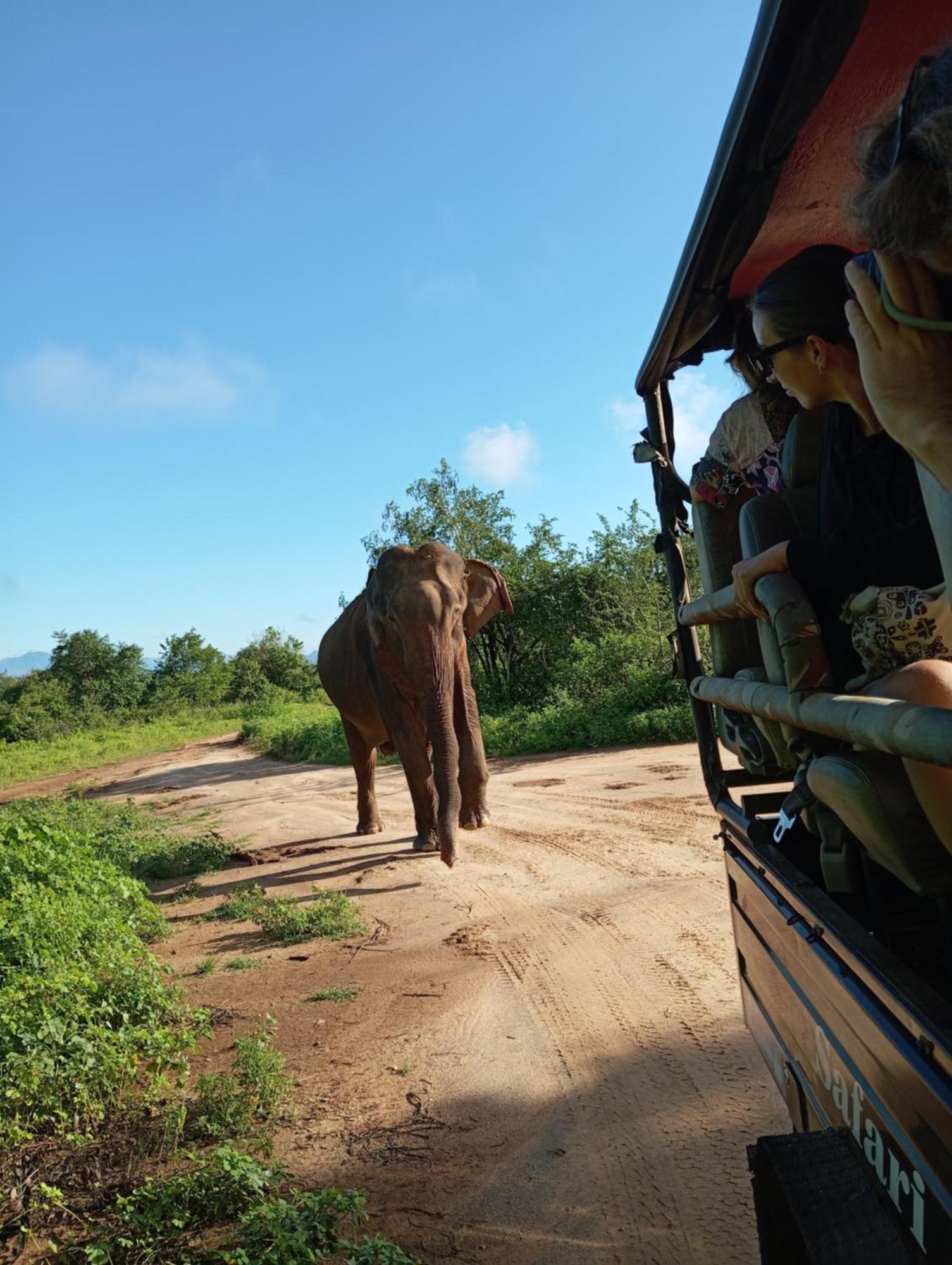 Tusker'S Paradise Safari Villa อุดาวาลาเว ภายนอก รูปภาพ