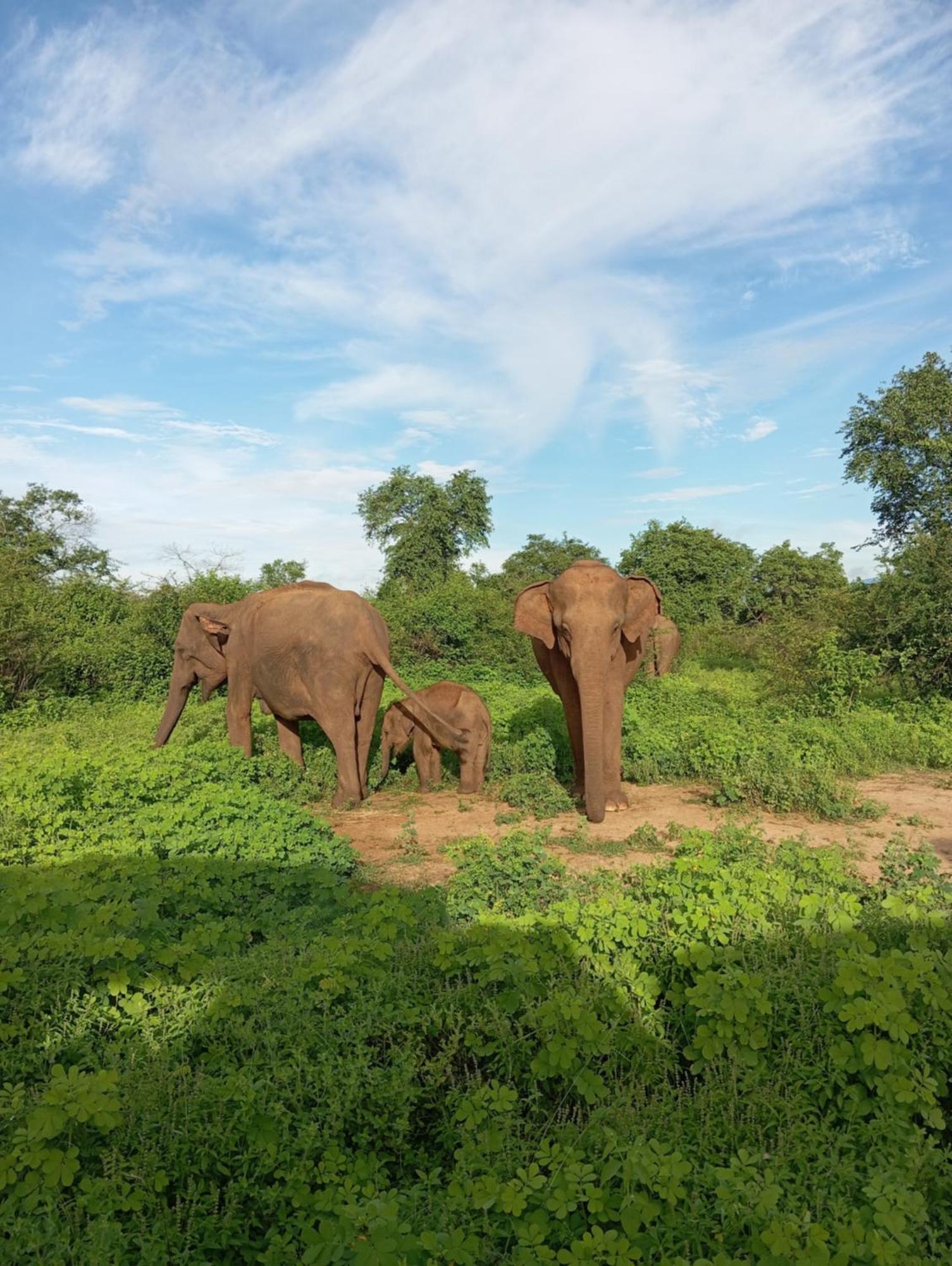 Tusker'S Paradise Safari Villa อุดาวาลาเว ภายนอก รูปภาพ