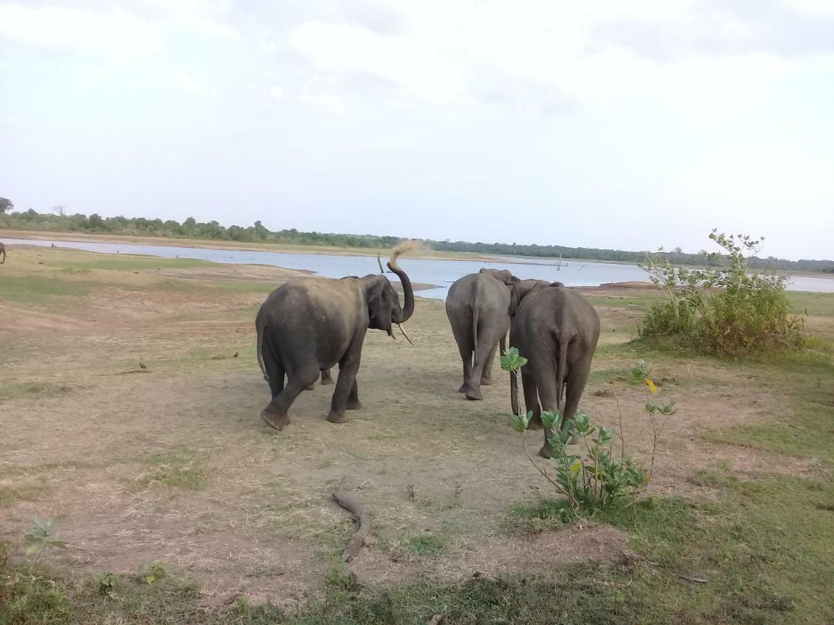 Tusker'S Paradise Safari Villa อุดาวาลาเว ภายนอก รูปภาพ