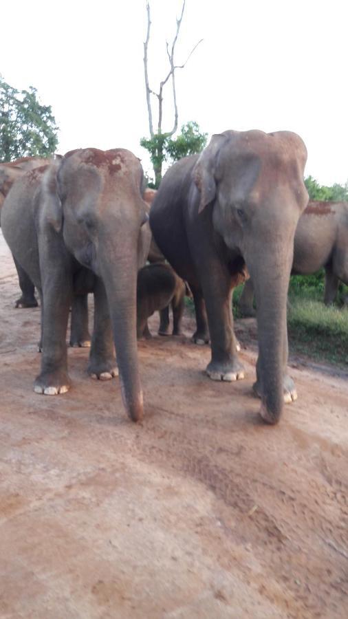 Tusker'S Paradise Safari Villa อุดาวาลาเว ภายนอก รูปภาพ