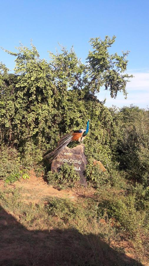 Tusker'S Paradise Safari Villa อุดาวาลาเว ภายนอก รูปภาพ