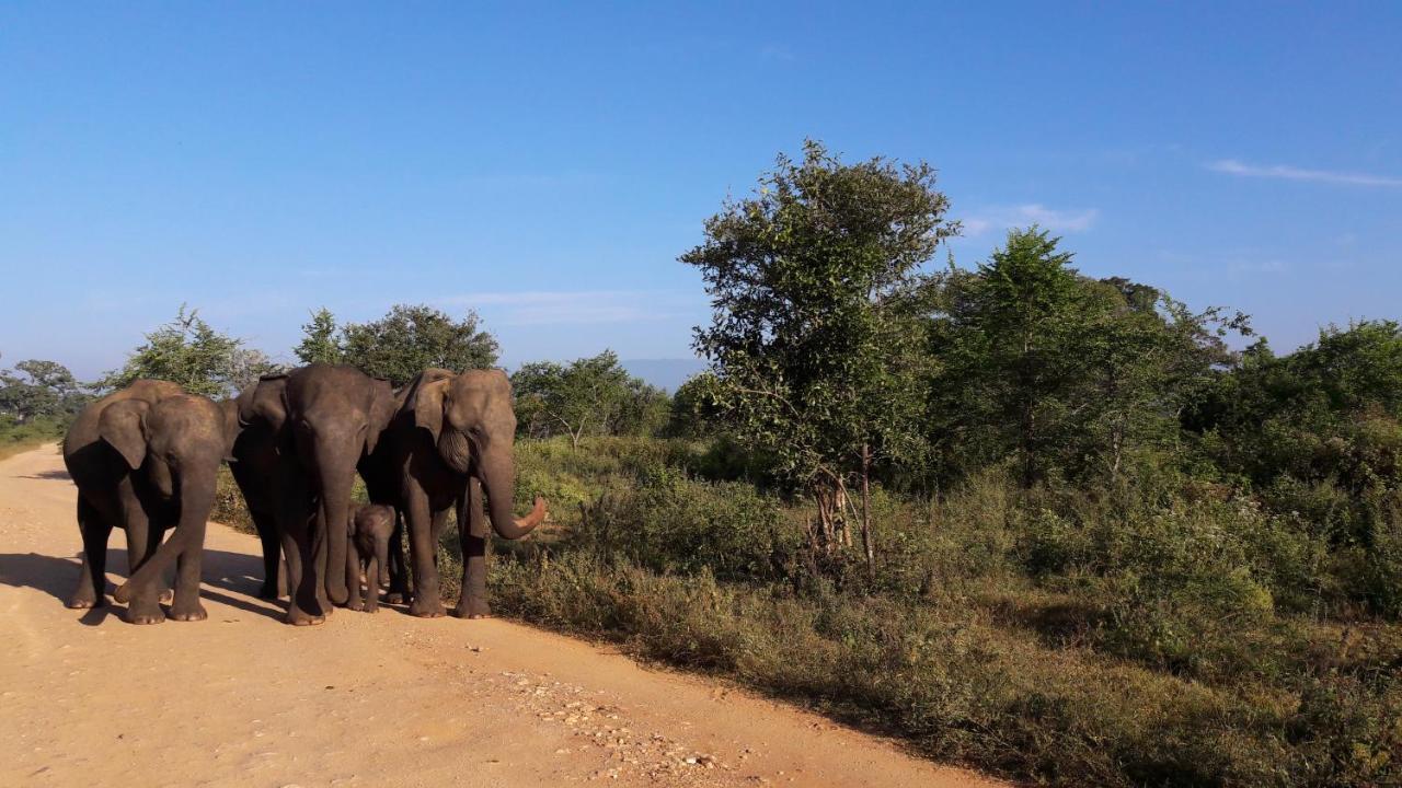 Tusker'S Paradise Safari Villa อุดาวาลาเว ภายนอก รูปภาพ