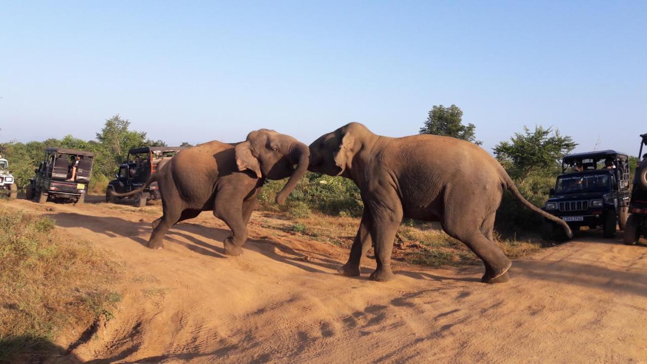 Tusker'S Paradise Safari Villa อุดาวาลาเว ภายนอก รูปภาพ